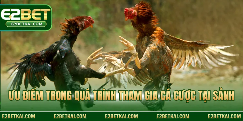 Ưu điểm trong quá trình tham gia cá cược tại sảnh